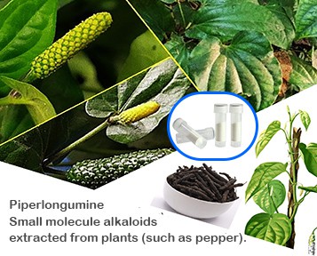 Када се нега коже сусреће са науком о ћелијама: вишеструке могућности биљних{...